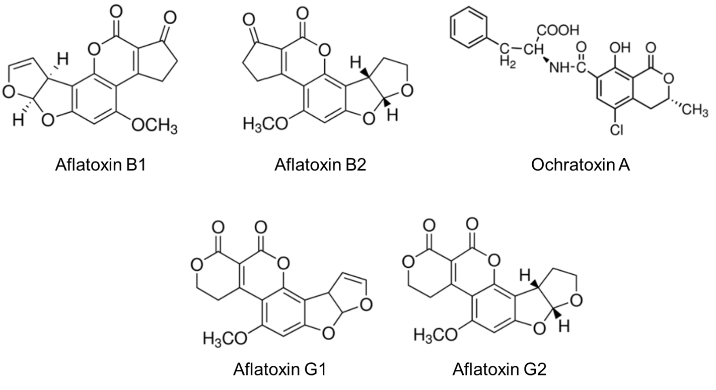 Mycotoxins Mycotoxins