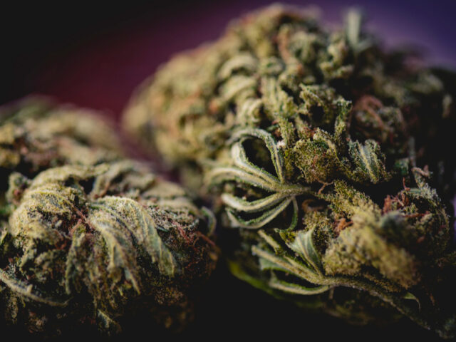 The Ultimate Guide to Choosing the Perfect Cannabis Strain