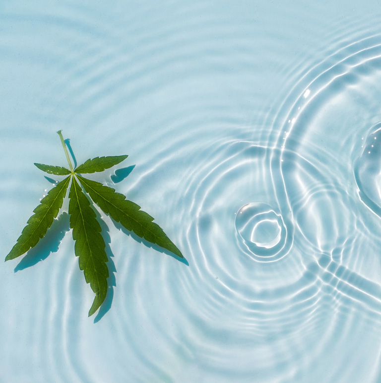 blue-water-background-with-drops,-waves-and-hemp-leaves blue-water-background-with-drops,-waves-and-hemp-leaves