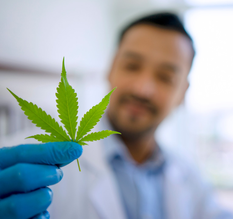 Cannabis Testing in California California's Leading Cannabis Testing