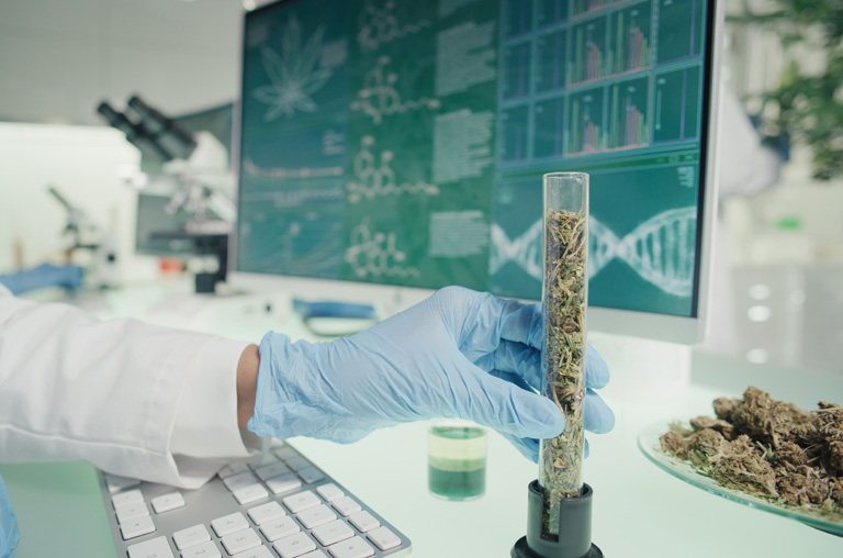 Cannabis Testing in California California's Leading Cannabis Testing