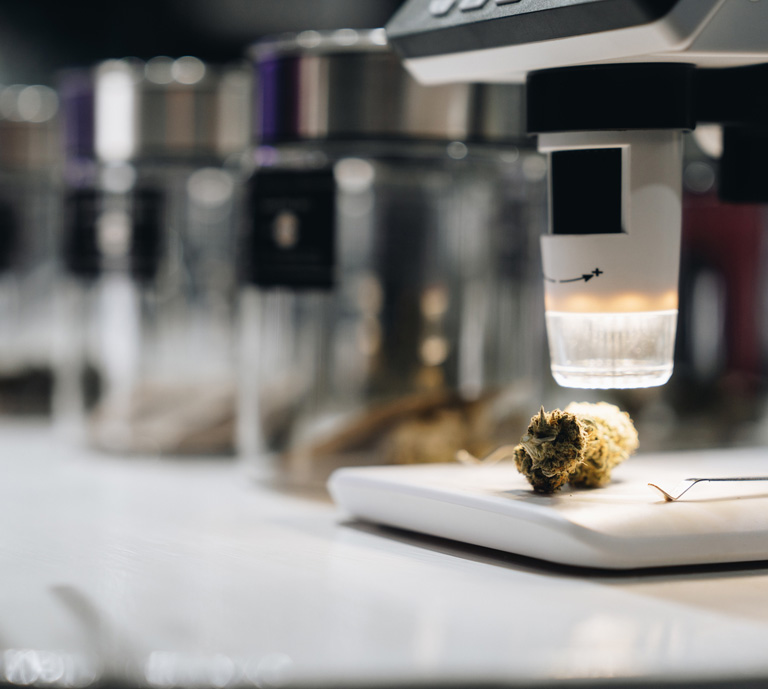 small-marijuana-dispensary small-marijuana-dispensary
