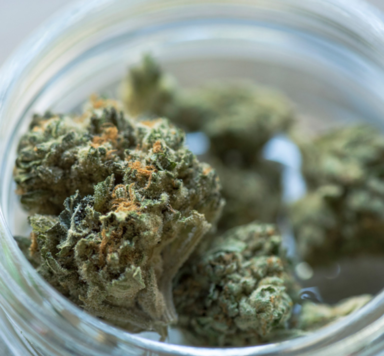 close-up-of-cannabis-sample