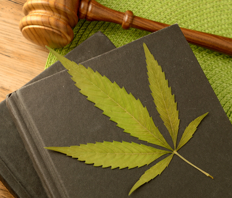 legal-marijuana-concept legal-marijuana-concept