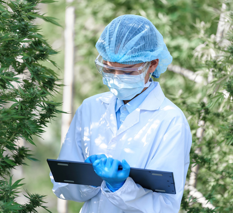 Cannabis R&D Testing In California | California's Leading Cannabis ...