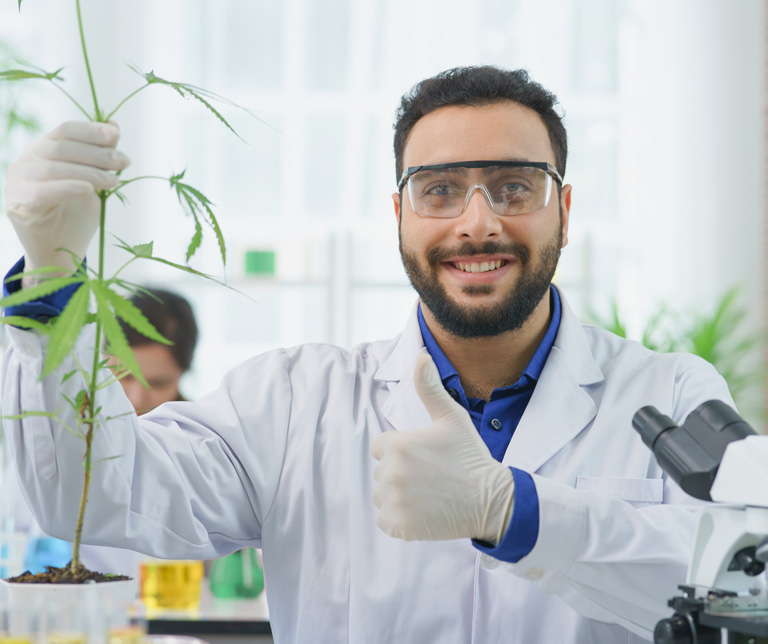 Cannabis R&D Testing In California | California's Leading Cannabis ...