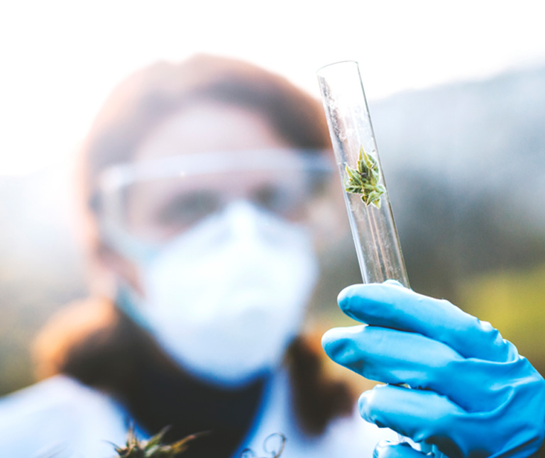 scientist-with-a-tube-containing-cannabis scientist-with-a-tube-containing-cannabis