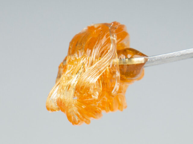 Testing Flowers vs. Concentrates in the Cannabis Industry