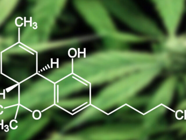 The Role of HHC (Hexahydrocannabinol) in Cannabis Testing